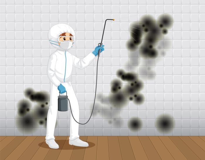 About USA Mold Removal Service